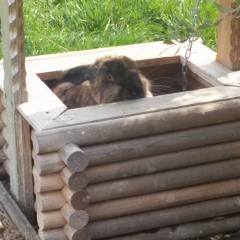 Евгений Склюев, 21.11.1985, Пермь
