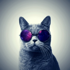 Danik Di, 07.01, Новосибирск