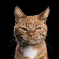 Вячеслав Аймухаметов, 30.10.1990, Москва