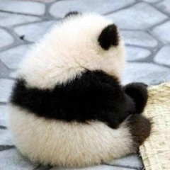 Edgar Karapetyan, 07.10, Москва