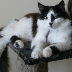 Ninelle Bazylyuk, 03.02