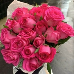 We Gnn, 24.04, Волгоград