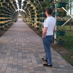 Turpal-ali Zelimhanov, Волгоград