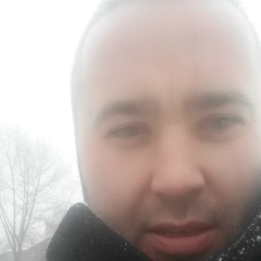 Grey Art, 30.01.1981, Dublin