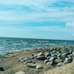 Саидакбар Касымзода, Санкт-Петербург