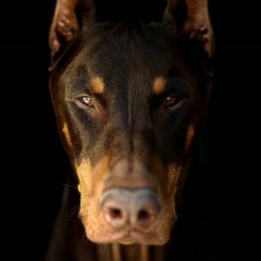 Галина Кунина, 06.06