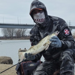 Александр Енин, Астрахань