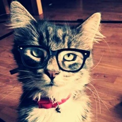 Андрей Игнатенко, 12.11.1980