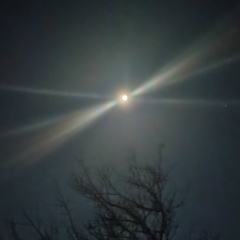 Александр Осадчук, 11.11, Севастополь