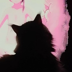 Артемий Краузе, 28.11.1994