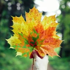 Елена Галицкова, 28.07.1982, Волгодонск