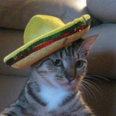 Эльм Альварес, 20.01.1988, Уфа