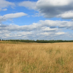 Яна Новикова, Санкт-Петербург