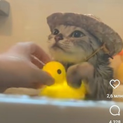 Максим Григорьев, 11.11, Москва