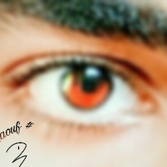 Raouf Sakhri, 16.08.1999