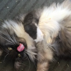 Надежда Курбанова, 12.01, Санкт-Петербург