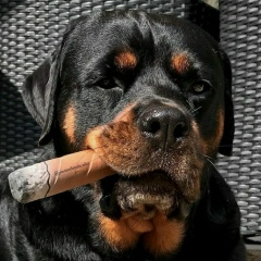 Даниил Мотов, 28.10, Москва