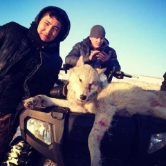 Самат Аманов, 13.10.1990, Алматы