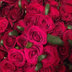 Татьяна Шин, 26.02.1983, Санкт-Петербург