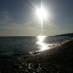 Наталья Сапунова, 10.06.1986, Москва