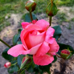 Анастасия Розанова, 23.09.1984, Санкт-Петербург