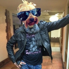 Александр Шабалин, 20.10.1989, Санкт-Петербург