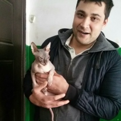 Руслан Айдамиров