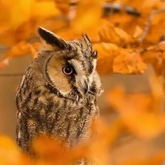 Наташа Столярова, 20.06.1982, Днепр (Днепропетровск)