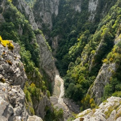 Вахит Пашаев, 23.02.1987, Грозный