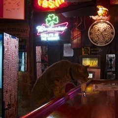 Алексей Добржицкий, 10.07, Москва