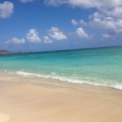 Марина Лебедь, 09.12, Москва