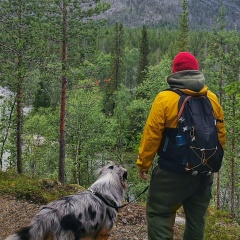 Mikhail Gridnev, 15.03.1985, Санкт-Петербург