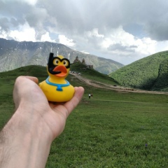 Владимир Козин, 25.07.1987, Великий Новгород