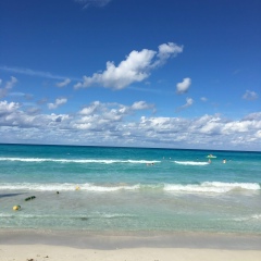 Александр Шефф, 11.11.1986, Москва