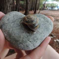Ленара Лопаткина, 14.05.1985, Ярославль