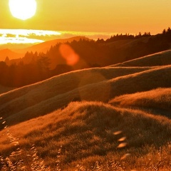 Берекет Сарсембаев