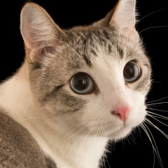 Nina Yarkova, 18.10, Yangon