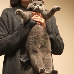 Альнура Бегелденова, 15.05