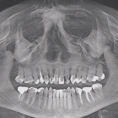Руслан Дауренов, 11.02.1995, Санкт-Петербург