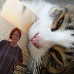 Жанелла Амдур, 19.05, Хайфа