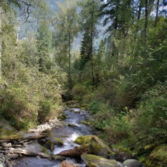 Ольга Сергеевна, Нижневартовск