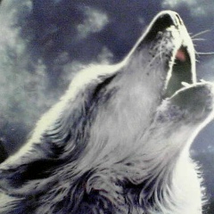 Добромир Атаманов, 26.10, Москва