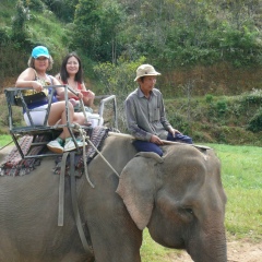 Шарипа Альтеева, 22.10.1966, Шымкент