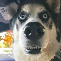 Еркин Жасаралов, Алматы