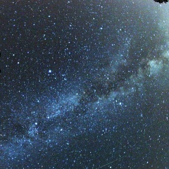 Даша Рачковская, 19.07.1996, Москва