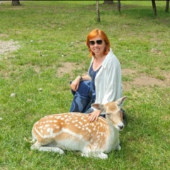 Наталя Лысак, Мурманск