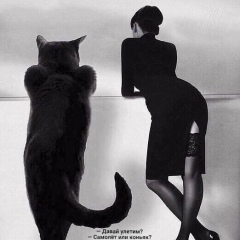 Светлана Чайкина, 04.12.1973, Санкт-Петербург