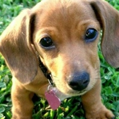 Любовь Уголькова, Москва