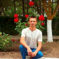 Андрей Домашенко, Киев