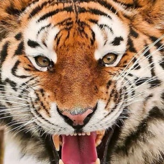 Максим Устаров, 04.12, Москва